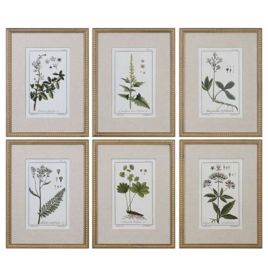 Wall Decor * | Top 10 Uttermost Leaf Berry Flower 6-Piece Wall Art Set, Beaded Gold Frame Botanical