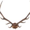 Wall Decor * | Outlet Ok Casting Oak Leaf Antlers Sculpture