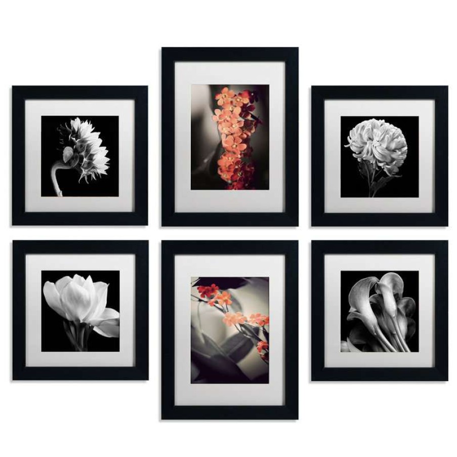 Wall Decor * | Buy Trademark Fine Art Floral Gallery Wall Collection' Multi-Panel Matted Framed Canvas Art Set