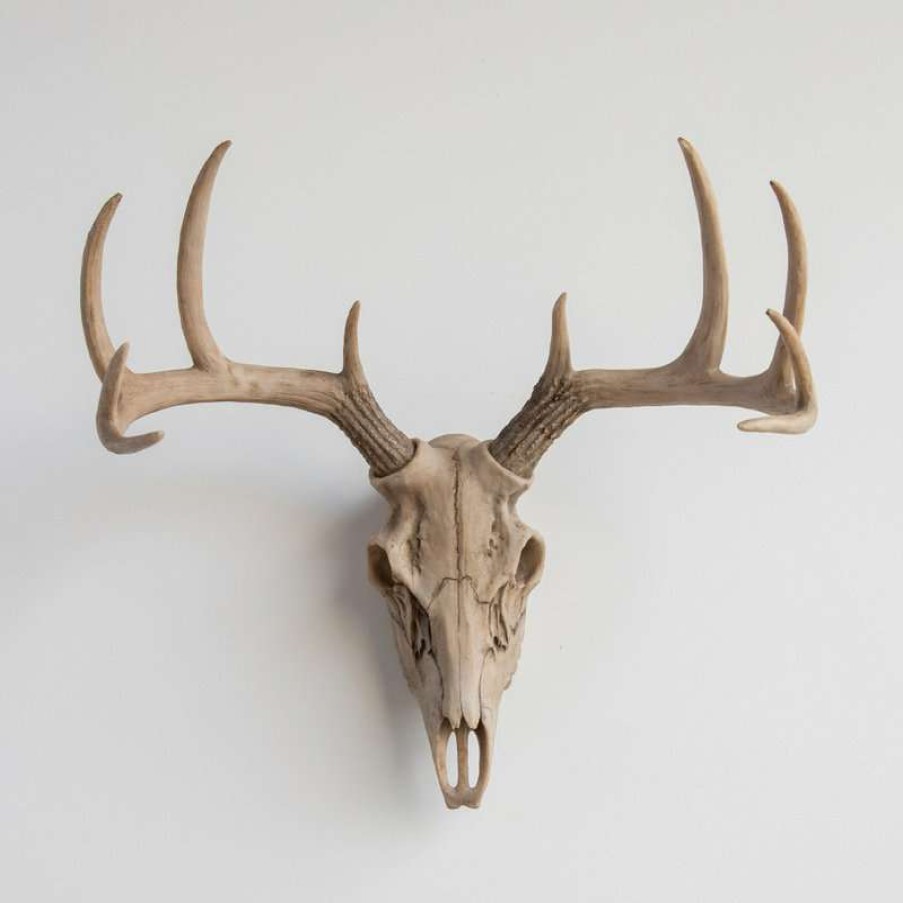 Wall Decor * | Discount Near And Deer Deer Skull Wall Mount, Realistic