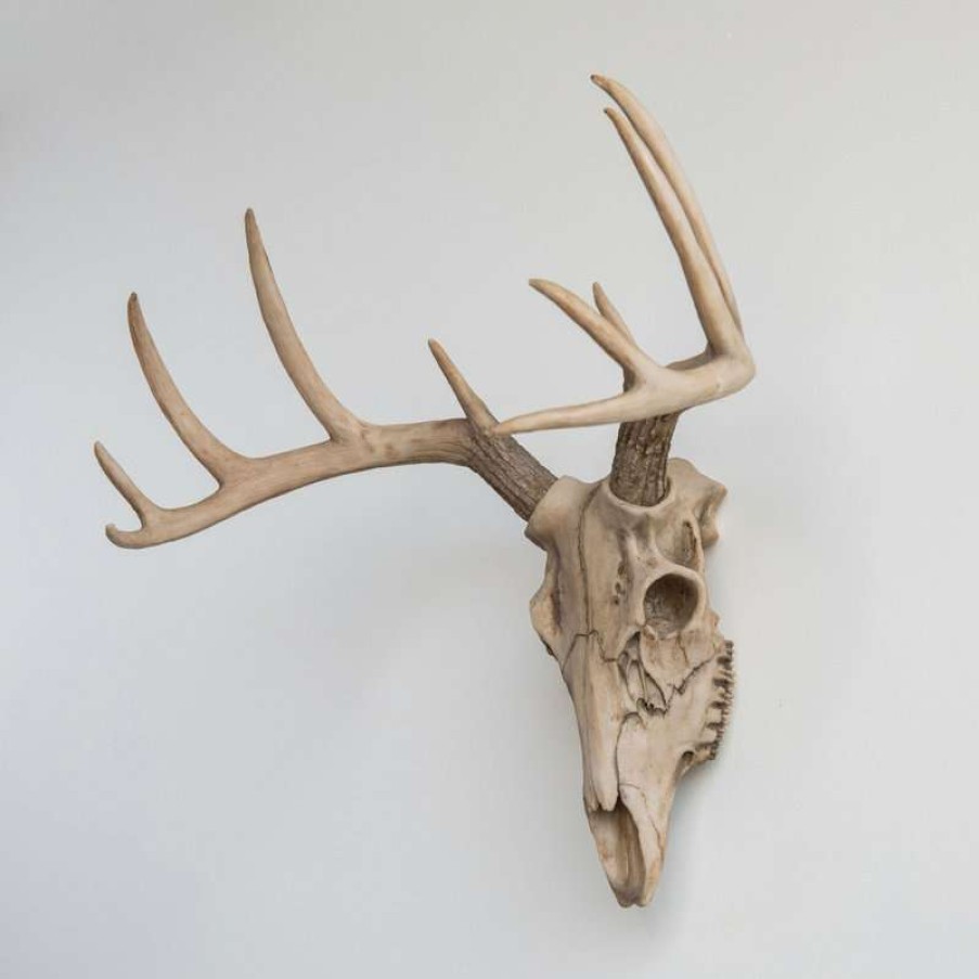 Wall Decor * | Discount Near And Deer Deer Skull Wall Mount, Realistic