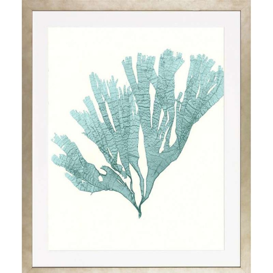 Wall Decor * | Cheap Art Virtuoso Blue Seaweeds, Medium Framed Art Print, 25 X29.75