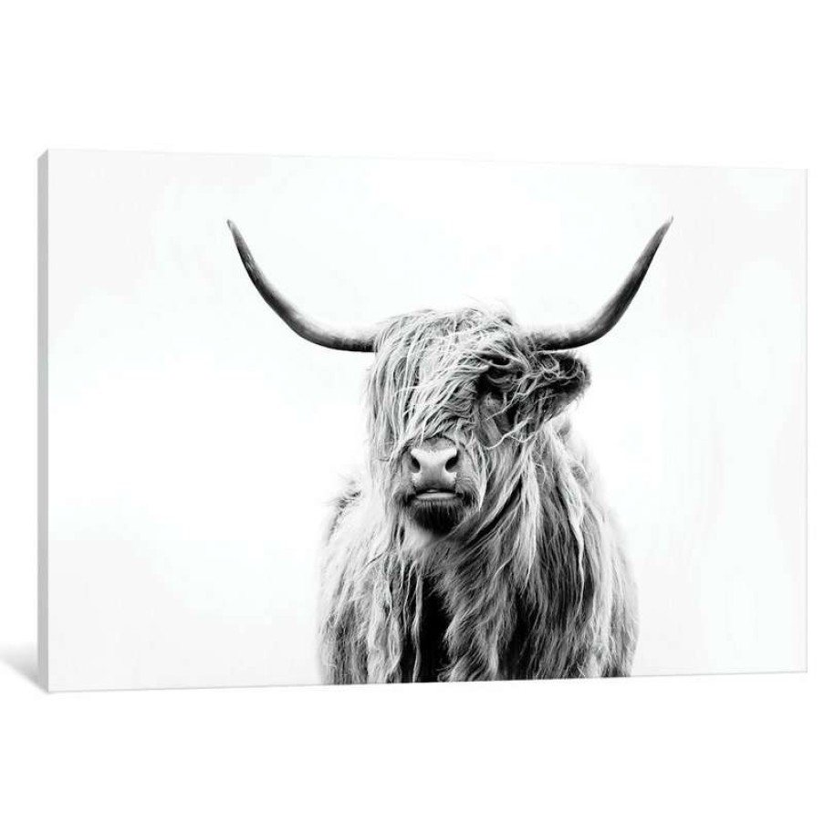 Wall Decor * | Promo Icanvas "Portrait Of A Highland Cow" By Dorit Fuhg, 40X26X0.75