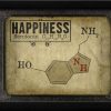 Wall Decor * | Best Reviews Of The Artwork Factory Happiness Molecule Framed Artwork