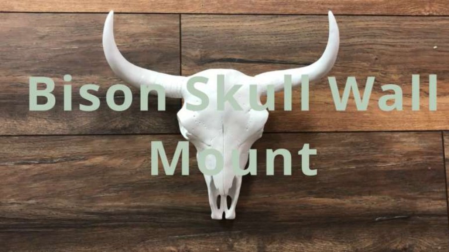 Wall Decor * | Best Reviews Of Near And Deer Bison Skull Head Wall Mount, Bronze