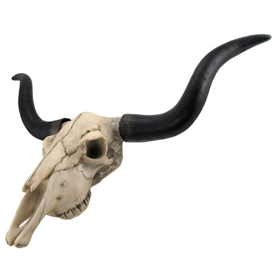 Wall Decor * | Best Sale Zeckos Huge Long Horn Cow Skull Wall Hanging Longhorn Steer