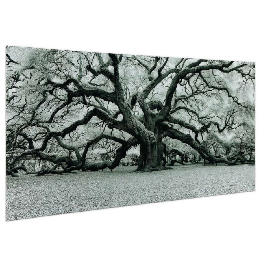 Wall Decor * | Brand New Empire Art Direct "The Angel Oak" Wall Art Frameless Free Floating Tempered Art Glass 72 X36