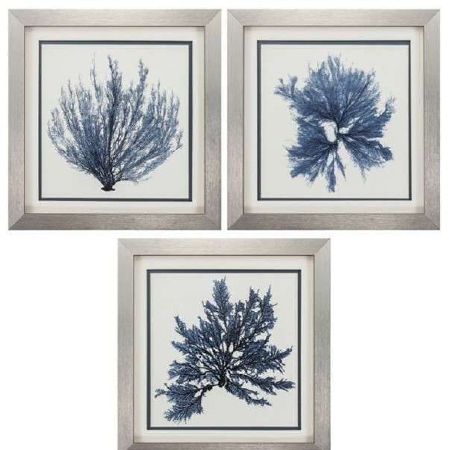 Wall Decor * | Top 10 Propac Images Coastal Seaweed, Set Of 3