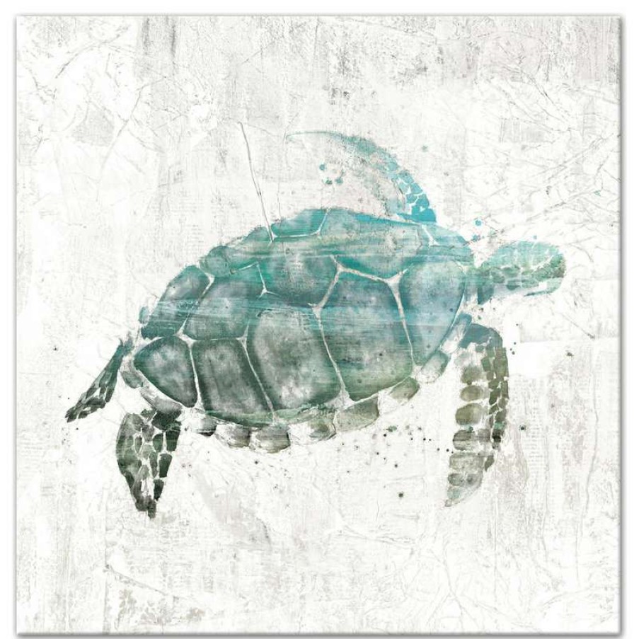 Wall Decor * | Best Pirce Ddcg Turquoise Sea Turtle Canvas Wall Art, 24 X24