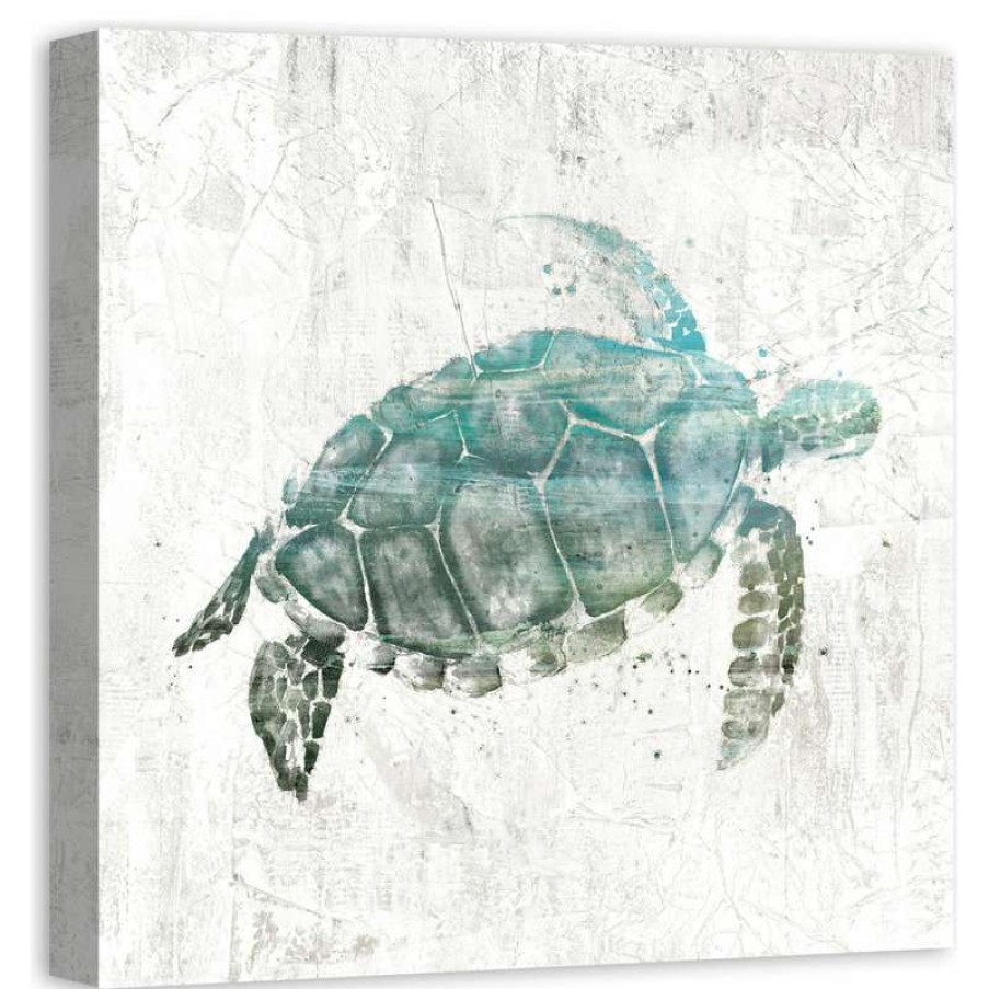 Wall Decor * | Best Pirce Ddcg Turquoise Sea Turtle Canvas Wall Art, 24 X24