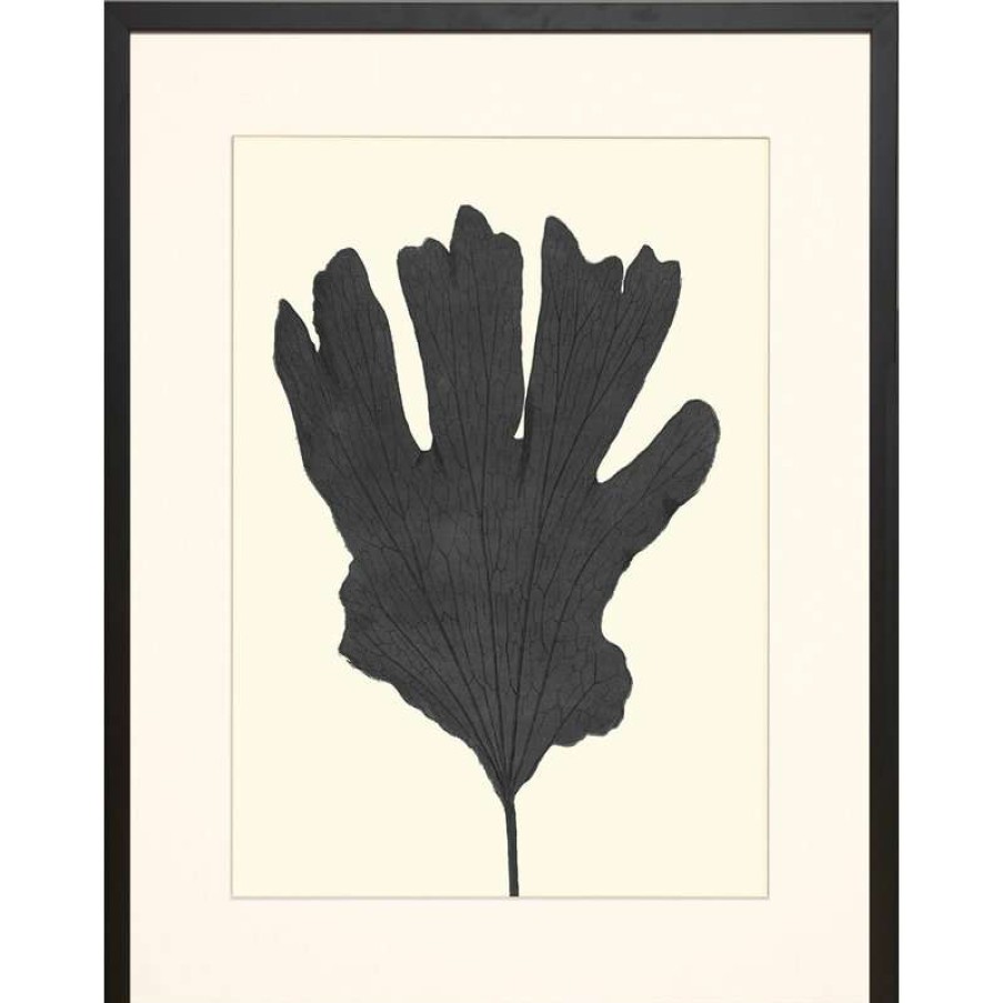 Wall Decor * | Brand New Art Virtuoso Black Ferns Framed Art Print