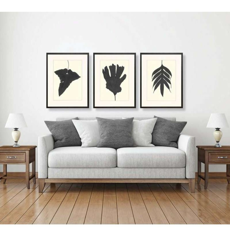 Wall Decor * | Brand New Art Virtuoso Black Ferns Framed Art Print