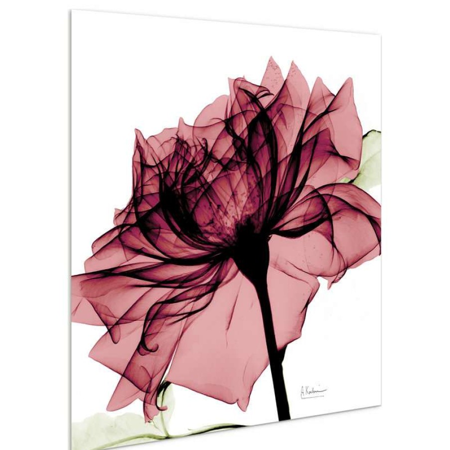 Wall Decor * | Brand New Empire Art Direct "Chianti Rose I" Flower Wall Art On Frameless Free Floating Tempered Glass Panel