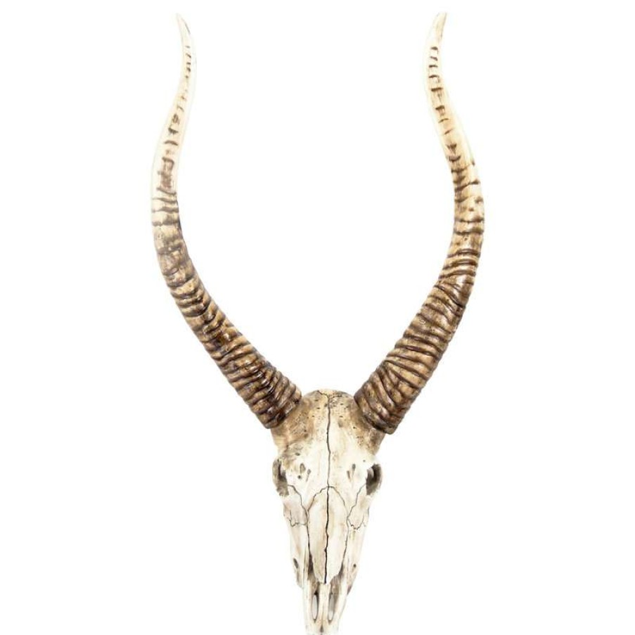 Wall Decor * | Outlet Zentique, Inc. Goat Skull Wall Decor