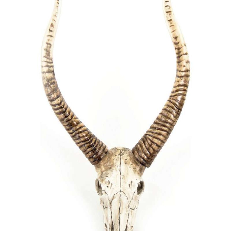 Wall Decor * | Outlet Zentique, Inc. Goat Skull Wall Decor