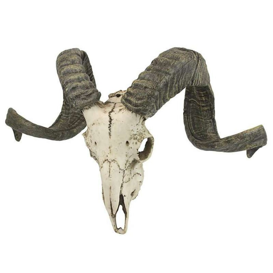 Wall Decor * | Best Sale Design Toscano Corsican Resin Ram Skull And Horns Wall Trophy