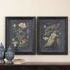 Wall Decor * | Buy Uttermost "Midnight Botanicals" 2-Piece Wall Art Set, 24.63 X32.63