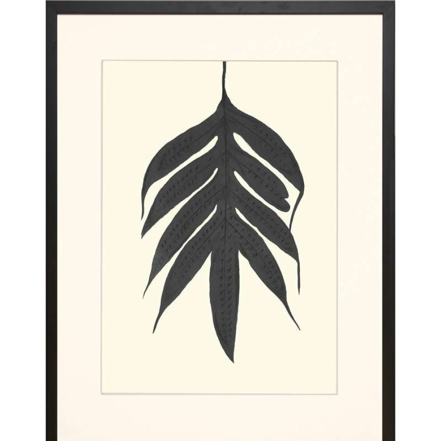 Wall Decor * | Brand New Art Virtuoso Black Ferns Framed Art Print