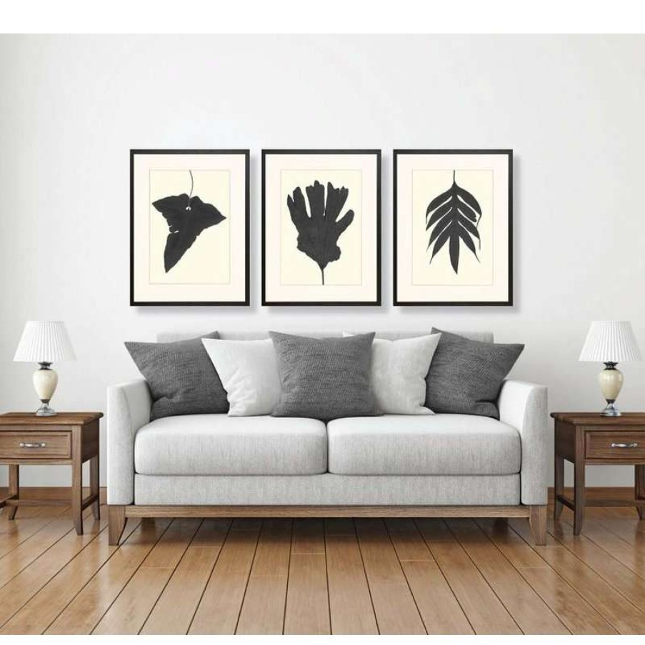 Wall Decor * | Brand New Art Virtuoso Black Ferns Framed Art Print