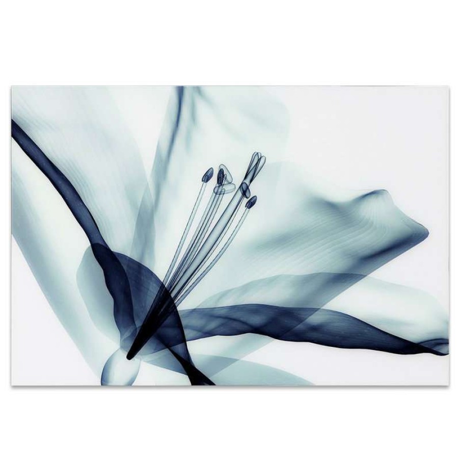 Wall Decor * | Outlet Empire Art Direct Amaryllis Glass Wall Art Frameless Free Floating Tempered Glass Print 32 48