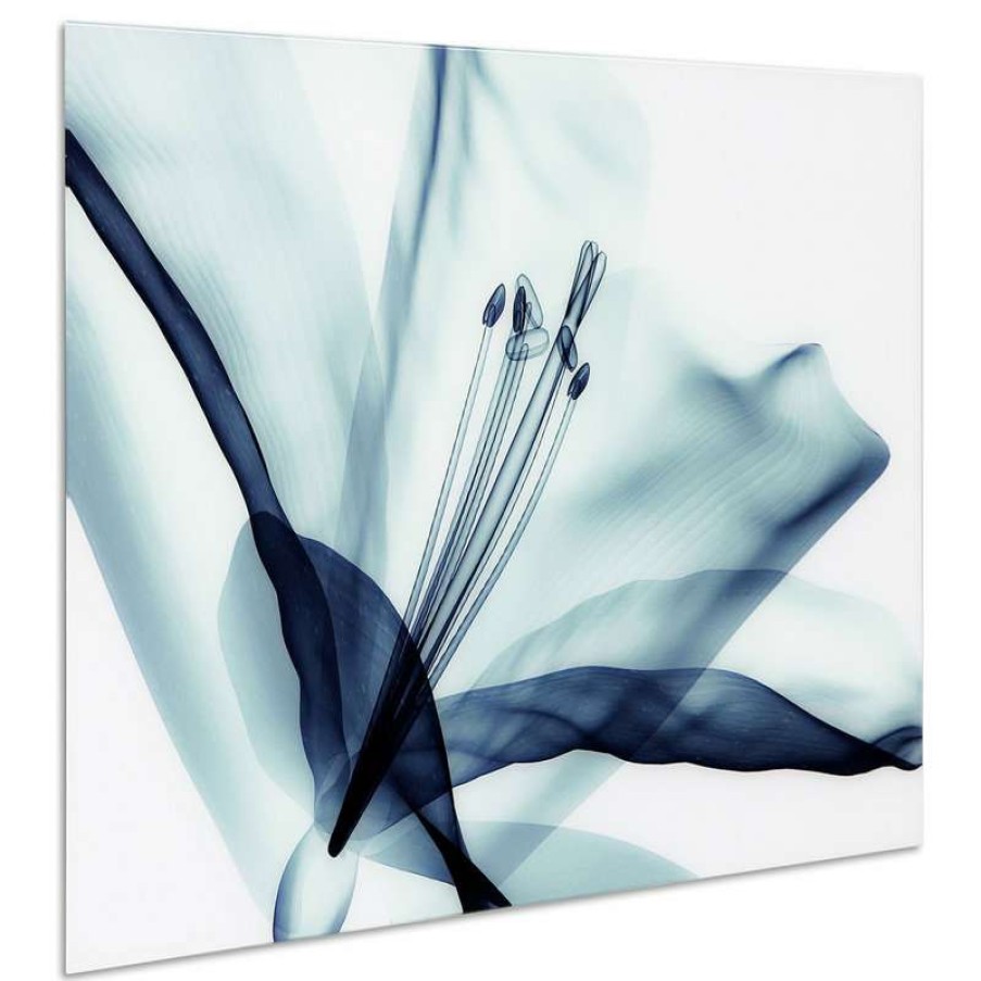 Wall Decor * | Outlet Empire Art Direct Amaryllis Glass Wall Art Frameless Free Floating Tempered Glass Print 32 48