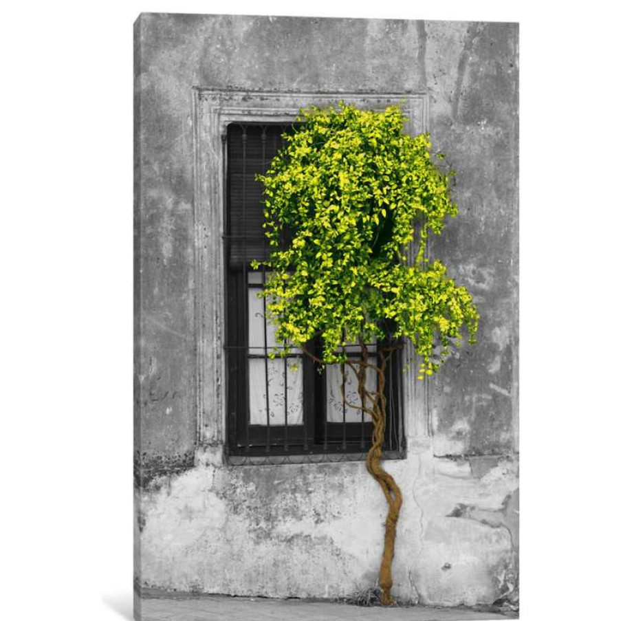 Wall Decor * | Best Sale Icanvas "Tree In Front Of Window Green Pop Color Pop" By Panoramic Images, 26X18X0.75