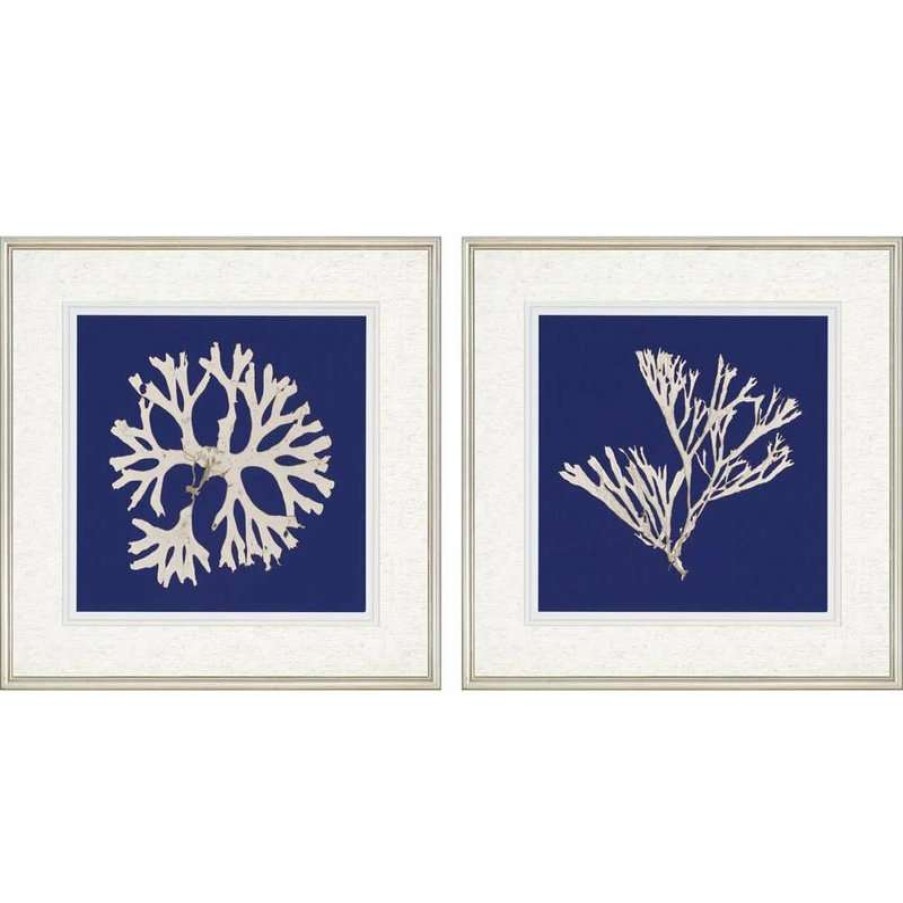 Wall Decor * | Cheap Paragon Decor Paragon Naturals Coastal Seaweed On Navy I Pack Of 2 Wall Art 3506