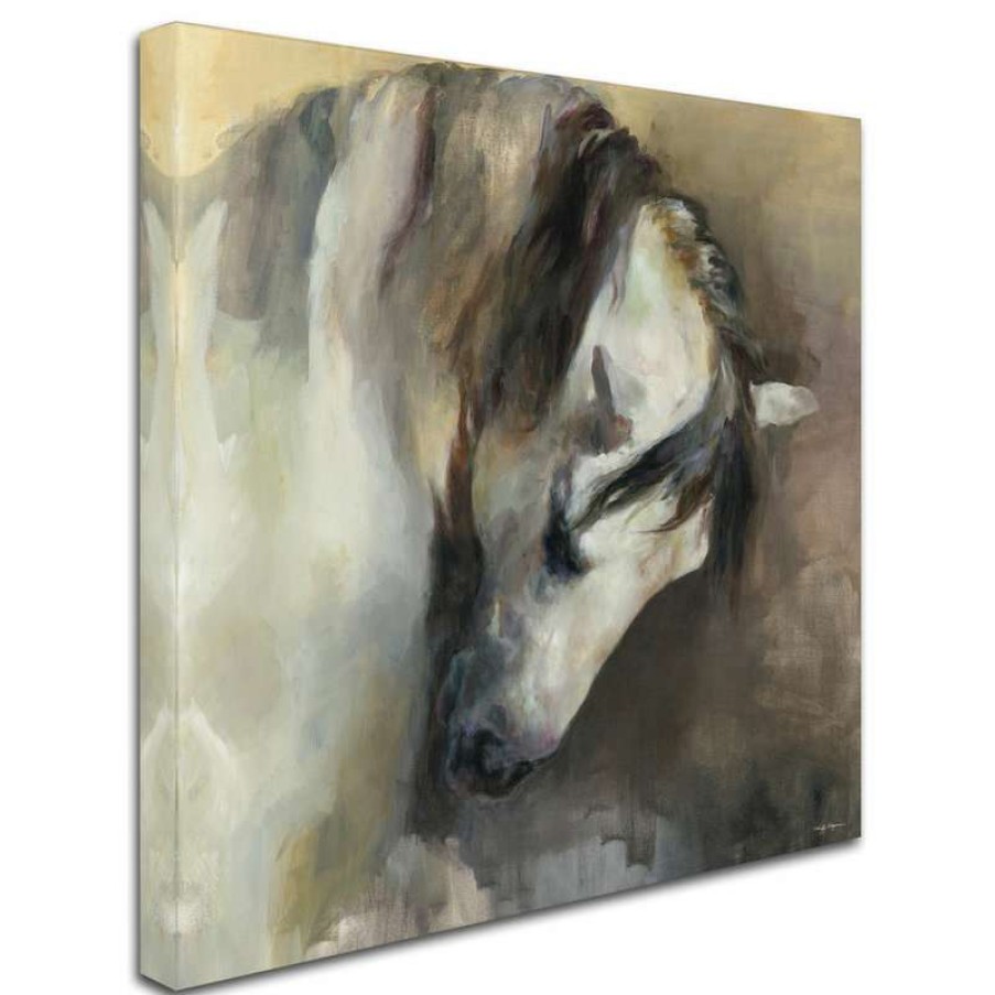 Wall Decor * | Top 10 Trademark Fine Art Marilyn Hageman 'Classical Horse' Canvas Art, 35 X35