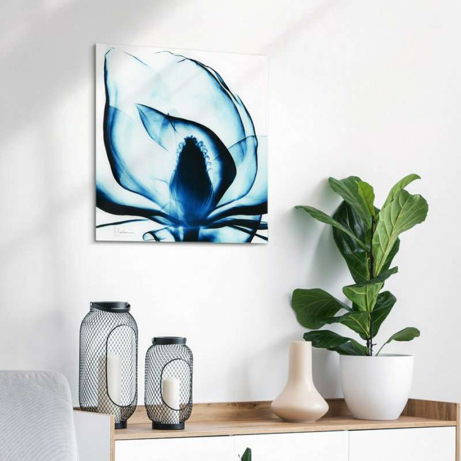 Wall Decor * | Wholesale Empire Art Direct Blue Magnolia X-Ray Flower Wall Art Frameless Free Floating Tempered Glass Panel