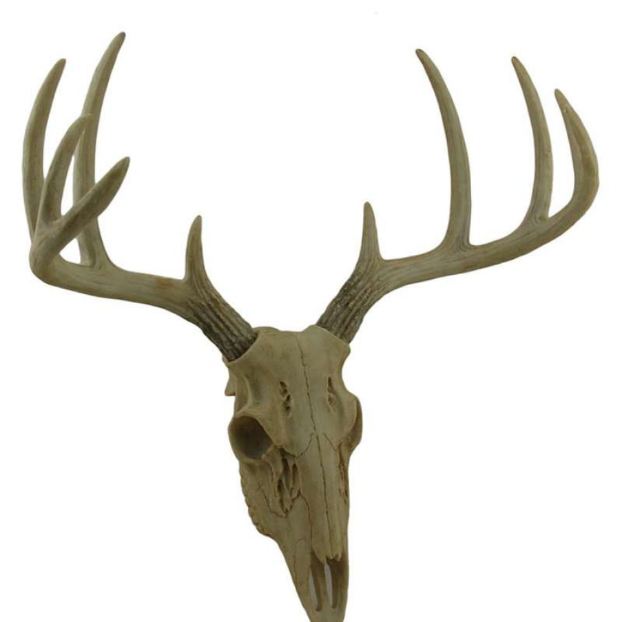 Wall Decor * | Budget Zeckos Little Bucky Wall Mounted Faux Aged Finish 10 Point Antlers Deer Skull 15 Inch