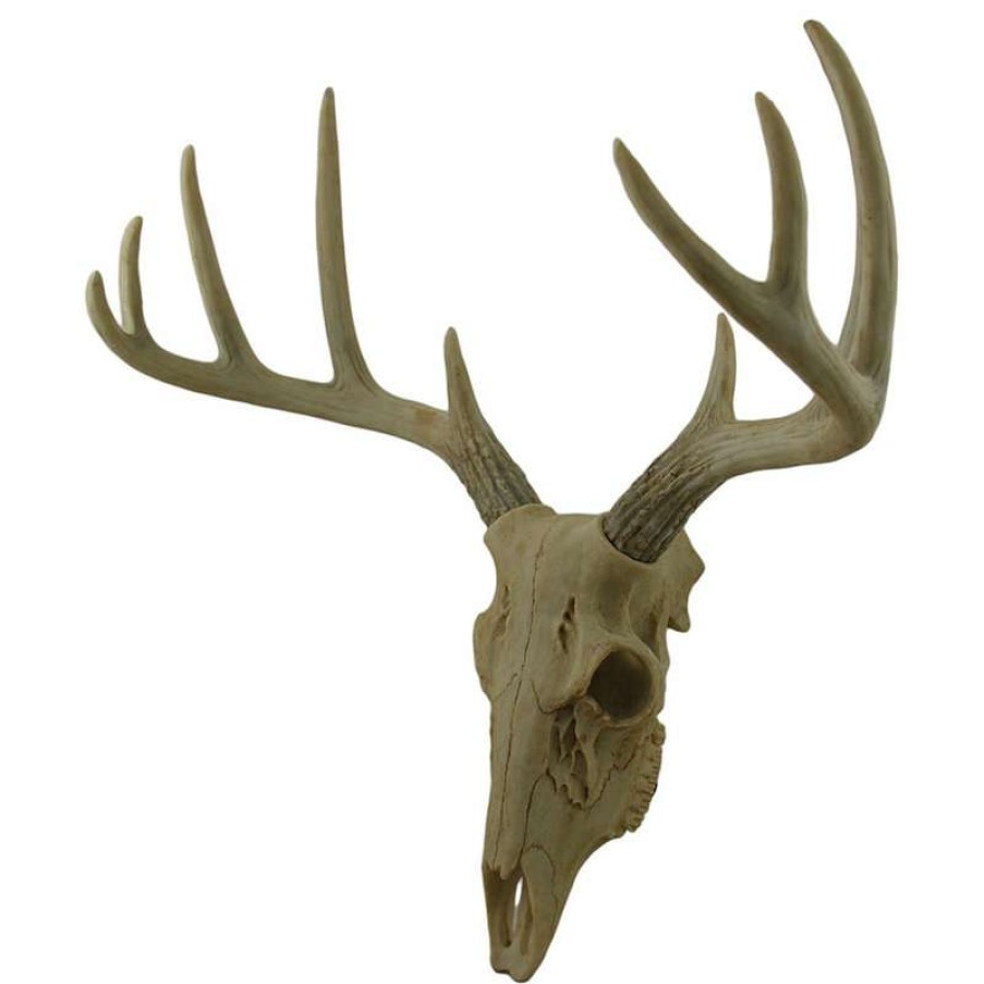 Wall Decor * | Budget Zeckos Little Bucky Wall Mounted Faux Aged Finish 10 Point Antlers Deer Skull 15 Inch